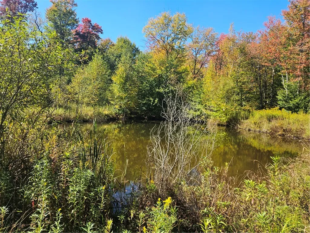 2881 County Highway 39, Decatur, New York 12197, Decatur, New York 12197, ,Land,Closed,2881 County Highway 39, Decatur, New York 12197,0,R1570806