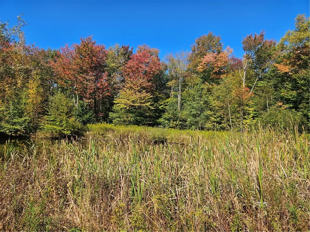 2881 County Highway 39, Decatur, New York 12197, Decatur, New York 12197, ,Land,Closed,2881 County Highway 39, Decatur, New York 12197,0,R1570806