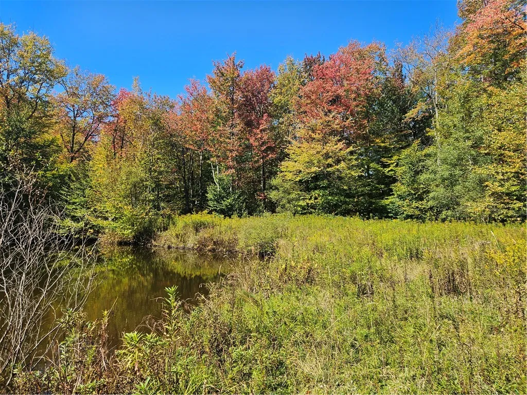 2881 County Highway 39, Decatur, New York 12197, Decatur, New York 12197, ,Land,Closed,2881 County Highway 39, Decatur, New York 12197,0,R1570806
