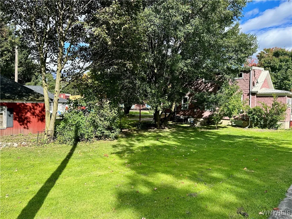 Back yard
