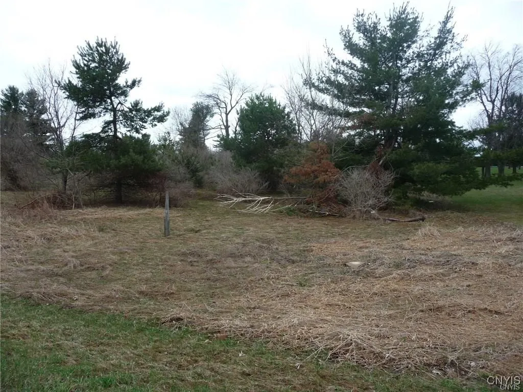 0 North Adams, Adams, New York 13605, Adams, New York 13605, ,Land,For Sale,0 North Adams, Adams, New York 13605,0,S1571495