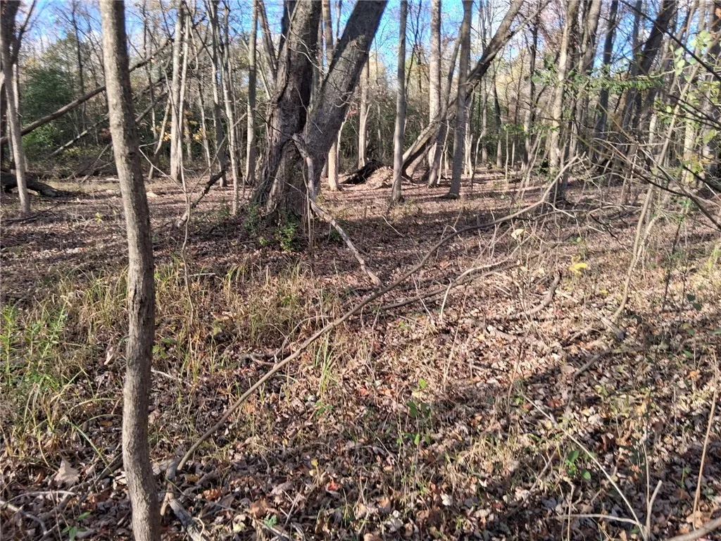 2853 Hartland Road, Hartland, New York 14067, Hartland, New York 14067, ,Land,For Sale,2853 Hartland Road, Hartland, New York 14067,0,R1571614