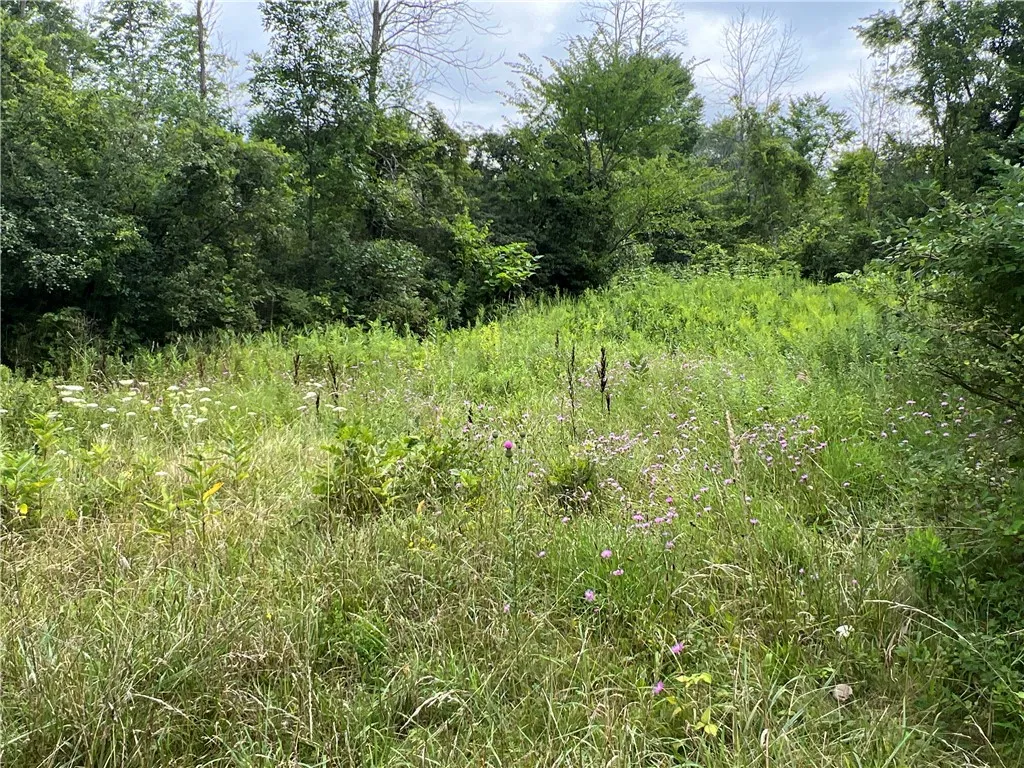 2853 Hartland Road, Hartland, New York 14067, Hartland, New York 14067, ,Land,For Sale,2853 Hartland Road, Hartland, New York 14067,0,R1571614