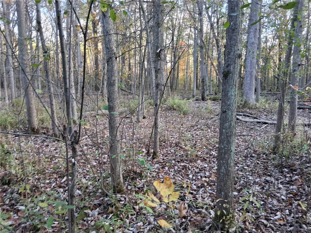 2853 Hartland Road, Hartland, New York 14067, Hartland, New York 14067, ,Land,For Sale,2853 Hartland Road, Hartland, New York 14067,0,R1571614