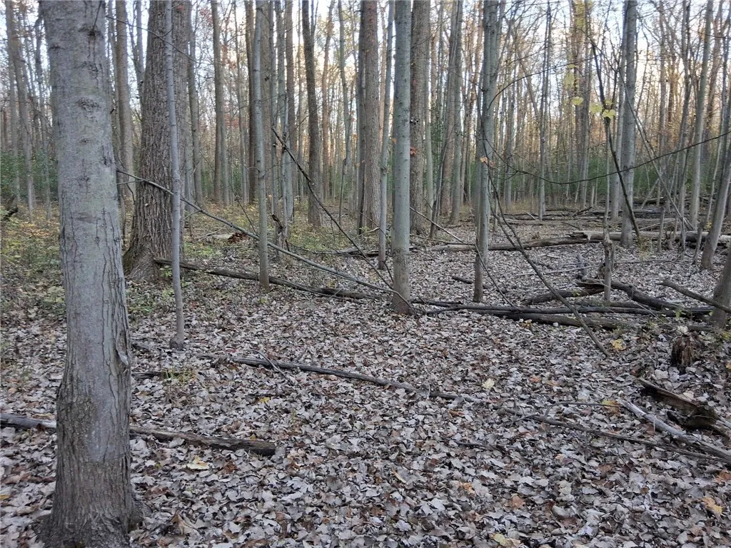 2853 Hartland Road, Hartland, New York 14067, Hartland, New York 14067, ,Land,For Sale,2853 Hartland Road, Hartland, New York 14067,0,R1571614