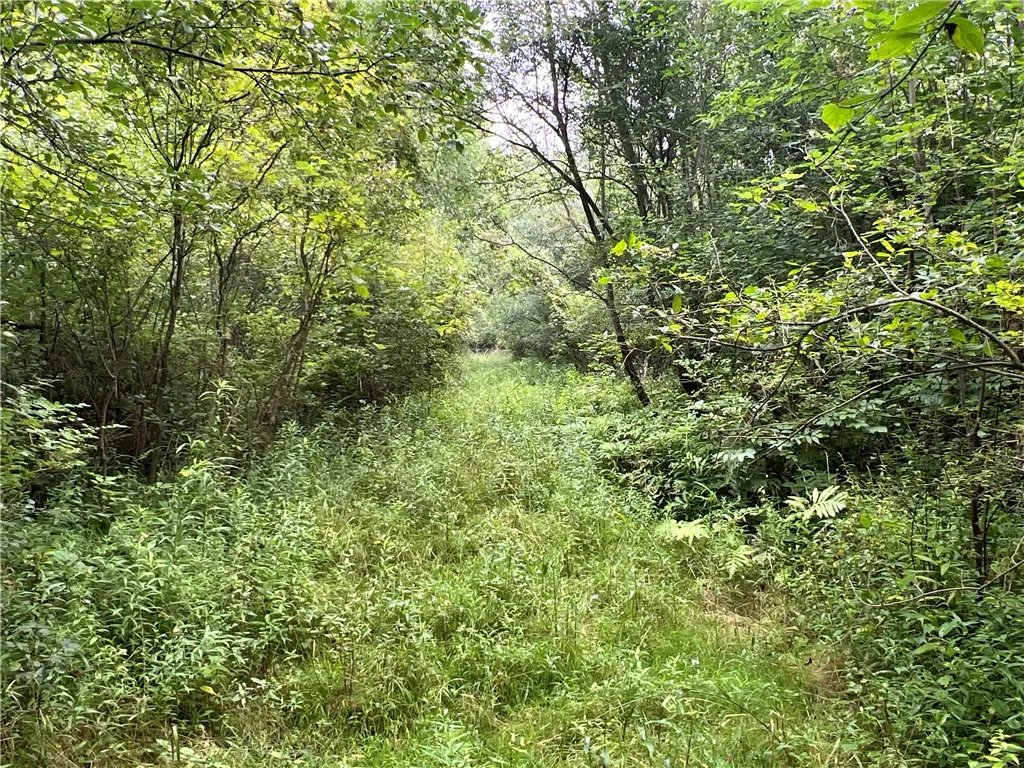 2853 Hartland Road, Hartland, New York 14067, Hartland, New York 14067, ,Land,For Sale,2853 Hartland Road, Hartland, New York 14067,0,R1571614