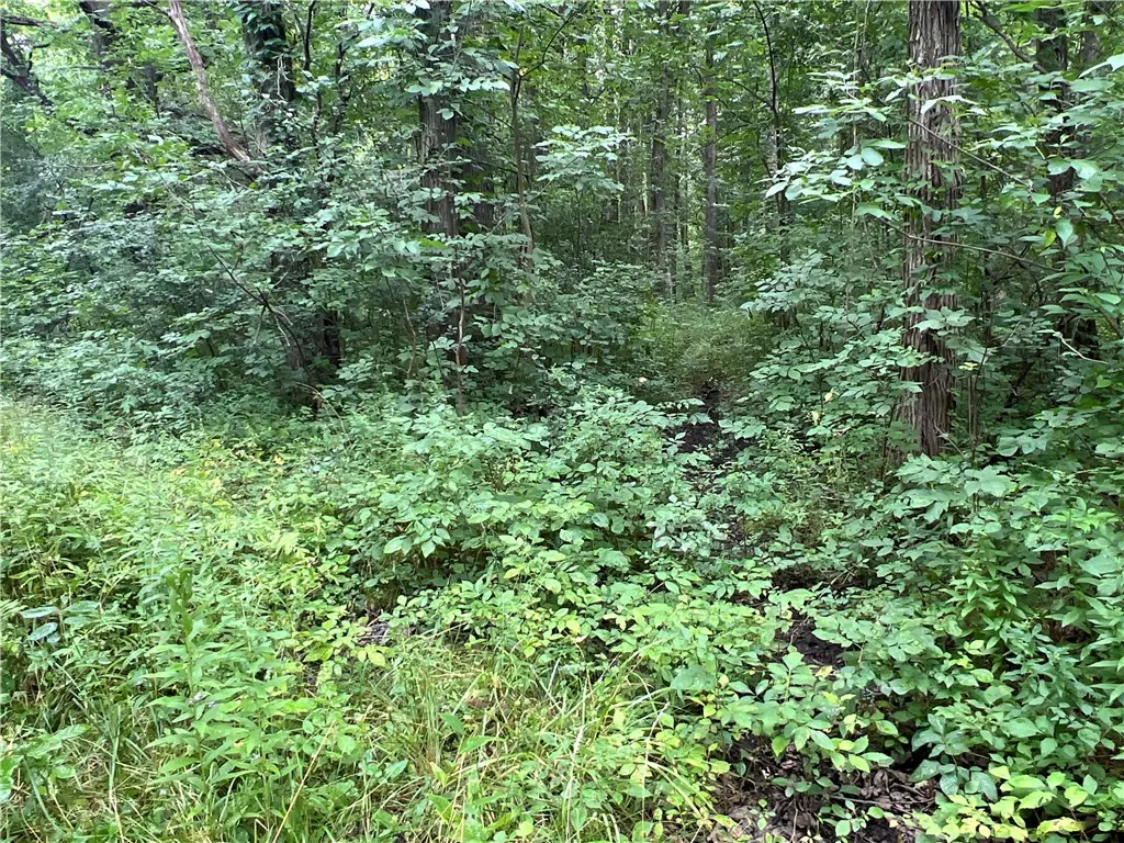 2853 Hartland Road, Hartland, New York 14067, Hartland, New York 14067, ,Land,For Sale,2853 Hartland Road, Hartland, New York 14067,0,R1571614