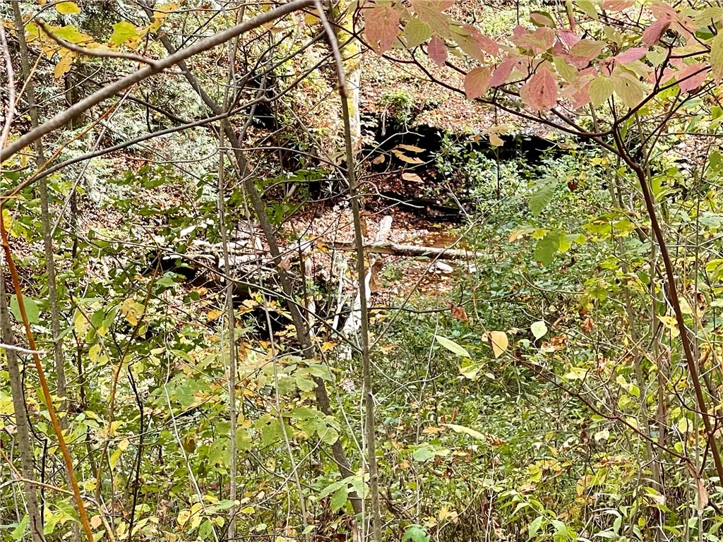 Across the road
