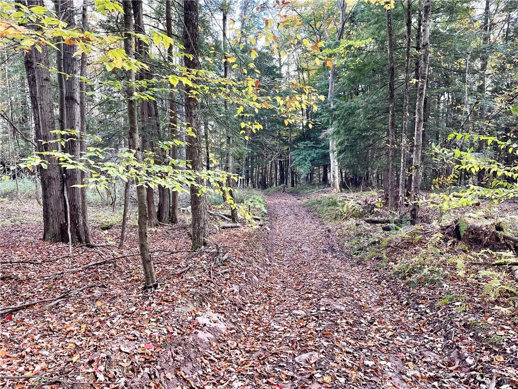 000 County Highway 3, Butternuts, New York 13843, Butternuts, New York 13843, ,Land,For Sale,000 County Highway 3, Butternuts, New York 13843,0,R1572056