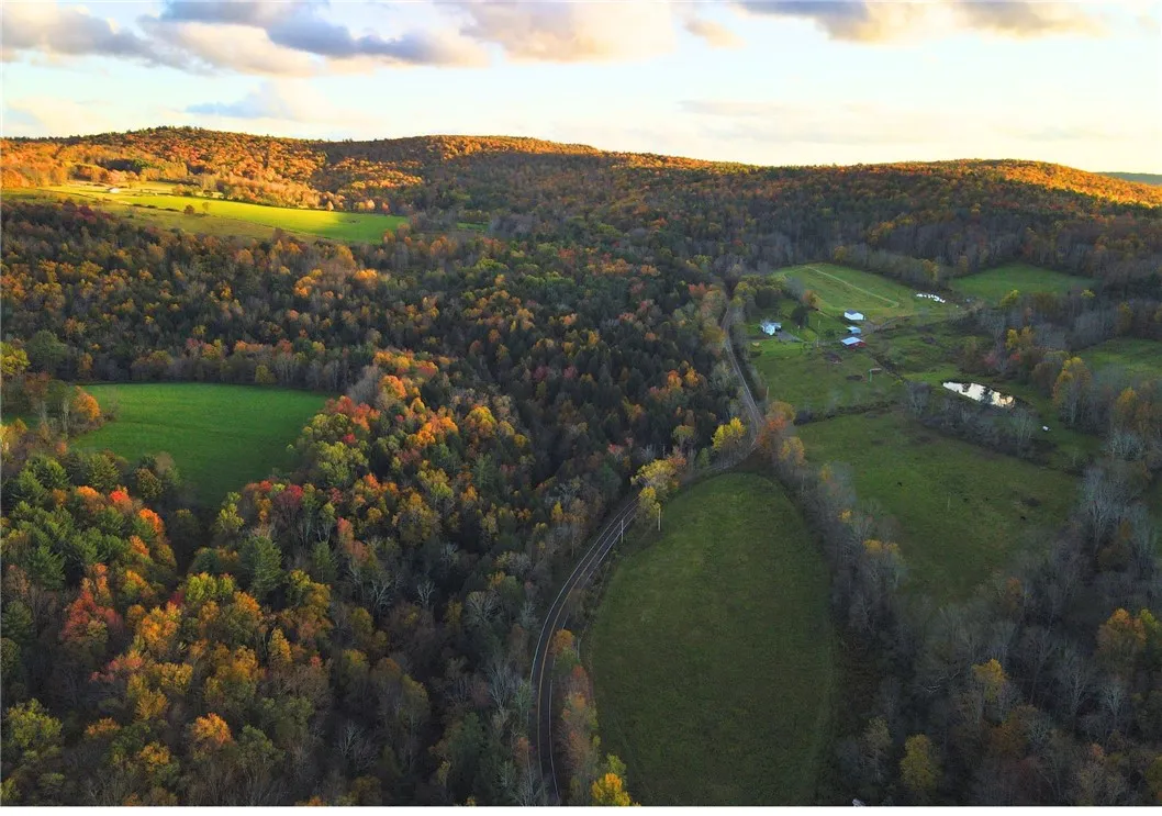 000 County Highway 3, Butternuts, New York 13843, Butternuts, New York 13843, ,Land,For Sale,000 County Highway 3, Butternuts, New York 13843,0,R1572056