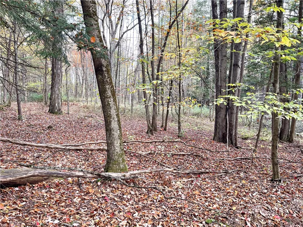000 County Highway 3, Butternuts, New York 13843, Butternuts, New York 13843, ,Land,For Sale,000 County Highway 3, Butternuts, New York 13843,0,R1572056
