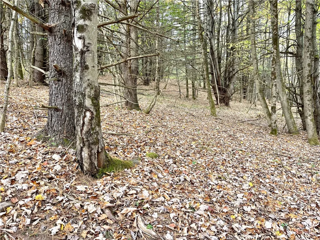 000 County Highway 3, Butternuts, New York 13843, Butternuts, New York 13843, ,Land,For Sale,000 County Highway 3, Butternuts, New York 13843,0,R1572056