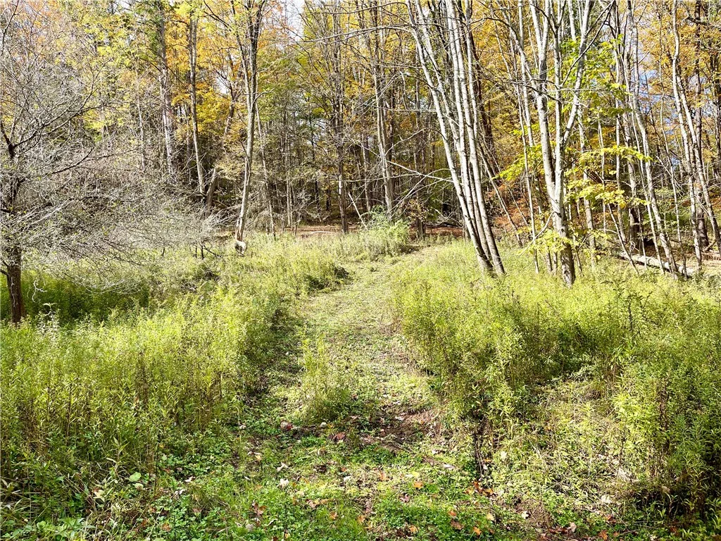 000 County Highway 3, Butternuts, New York 13843, Butternuts, New York 13843, ,Land,For Sale,000 County Highway 3, Butternuts, New York 13843,0,R1572056
