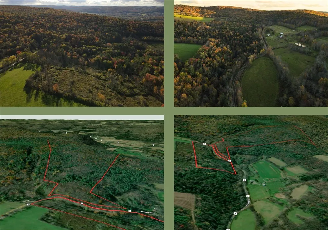 000 County Highway 3, Butternuts, New York 13843, Butternuts, New York 13843, ,Land,For Sale,000 County Highway 3, Butternuts, New York 13843,0,R1572056