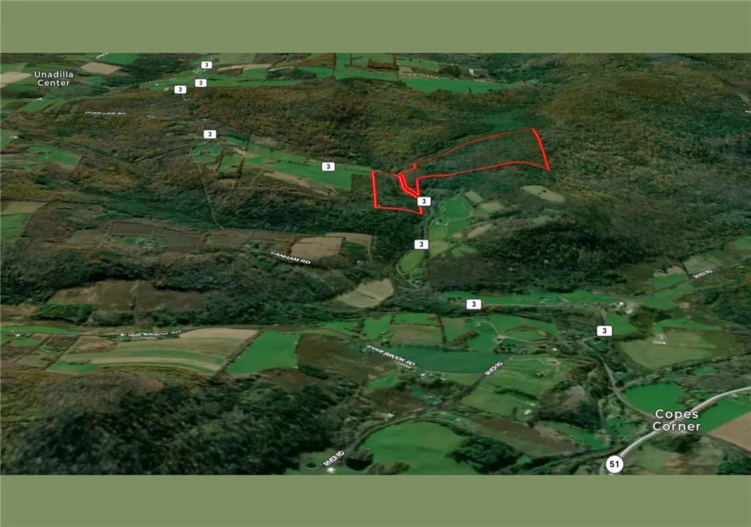 000 County Highway 3, Butternuts, New York 13843, Butternuts, New York 13843, ,Land,For Sale,000 County Highway 3, Butternuts, New York 13843,0,R1572056