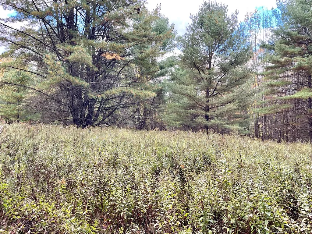 000 County Highway 3, Butternuts, New York 13843, Butternuts, New York 13843, ,Land,For Sale,000 County Highway 3, Butternuts, New York 13843,0,R1572056