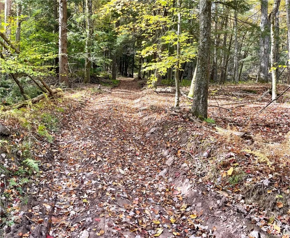 000 County Highway 3, Butternuts, New York 13843, Butternuts, New York 13843, ,Land,For Sale,000 County Highway 3, Butternuts, New York 13843,0,R1572056
