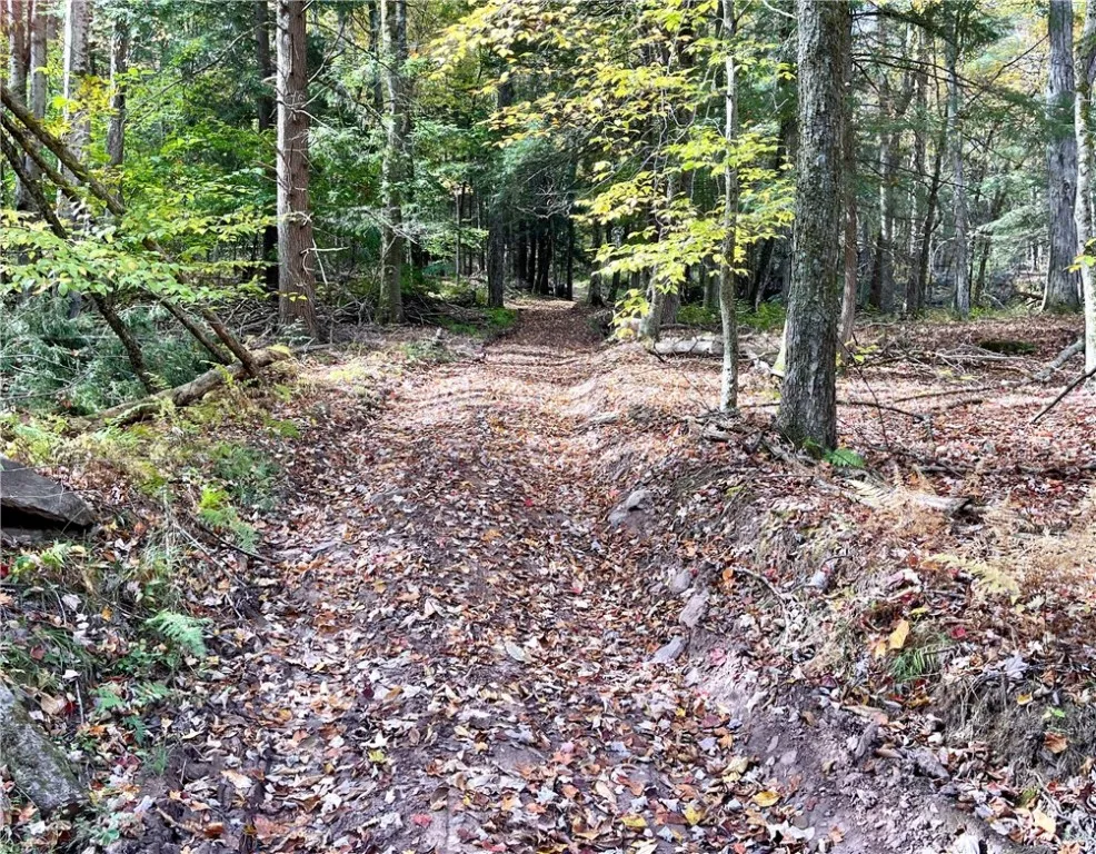000 County Highway 3, Butternuts, New York 13843, Butternuts, New York 13843, ,Land,For Sale,000 County Highway 3, Butternuts, New York 13843,0,R1572056