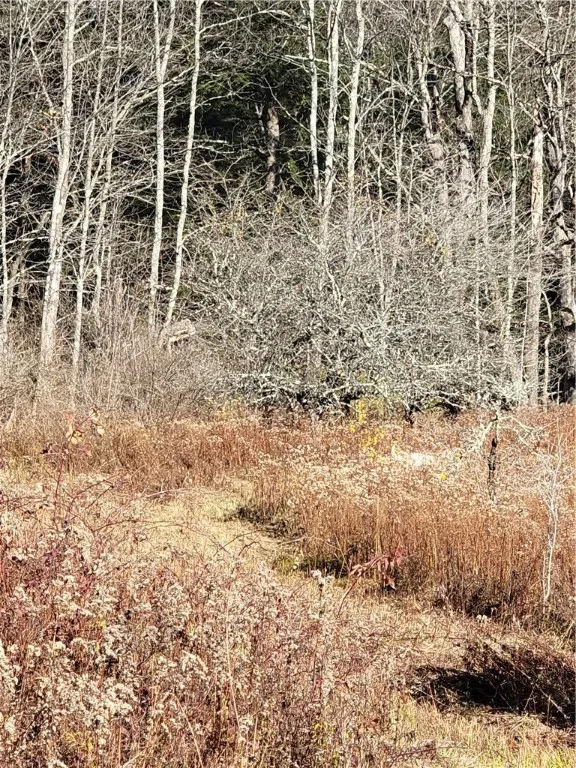 236 Spurr Street, Columbus, New York 13411, Columbus, New York 13411, ,Land,For Sale,236 Spurr Street, Columbus, New York 13411,0,R1572994