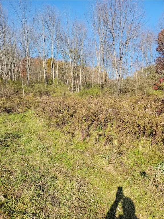 236 Spurr Street, Columbus, New York 13411, Columbus, New York 13411, ,Land,For Sale,236 Spurr Street, Columbus, New York 13411,0,R1572994