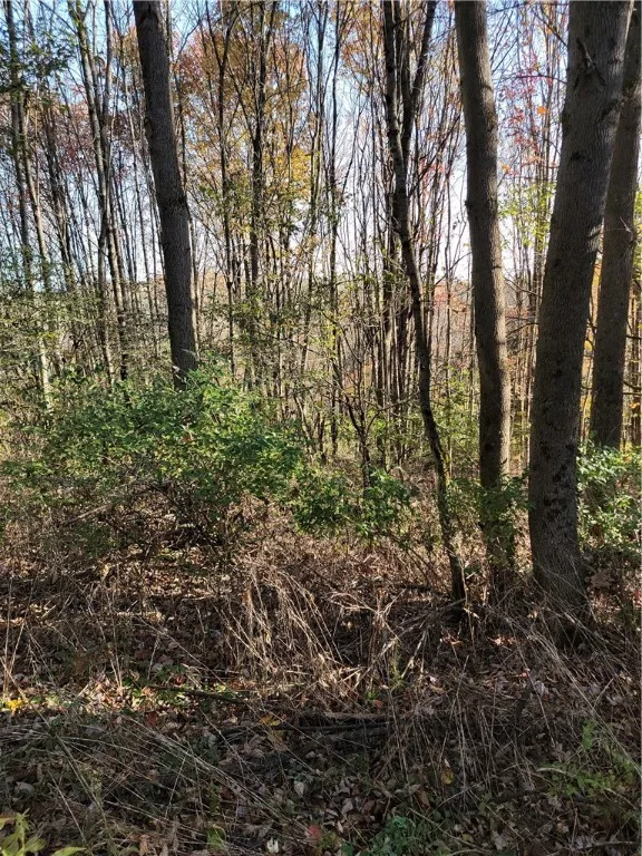 236 Spurr Street, Columbus, New York 13411, Columbus, New York 13411, ,Land,For Sale,236 Spurr Street, Columbus, New York 13411,R1572994