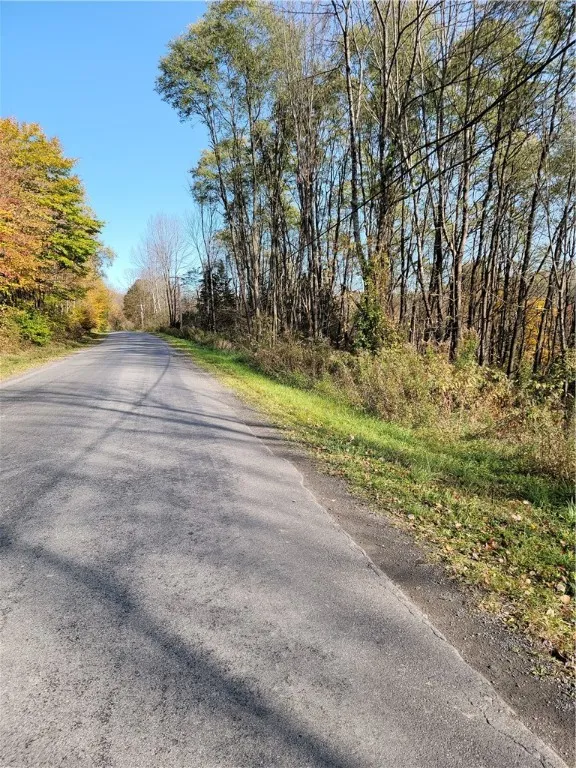 236 Spurr Street, Columbus, New York 13411, Columbus, New York 13411, ,Land,For Sale,236 Spurr Street, Columbus, New York 13411,R1572994