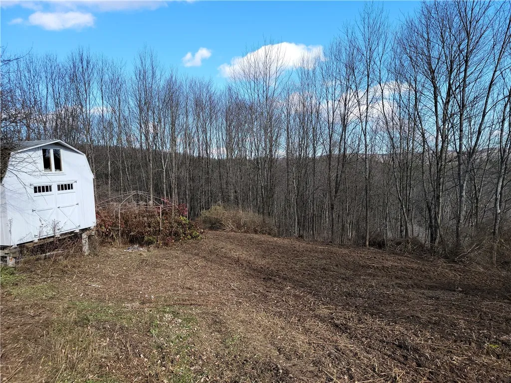 236 Spurr Street, Columbus, New York 13411, Columbus, New York 13411, ,Land,For Sale,236 Spurr Street, Columbus, New York 13411,0,R1572994