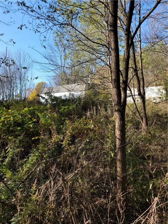 236 Spurr Street, Columbus, New York 13411, Columbus, New York 13411, ,Land,For Sale,236 Spurr Street, Columbus, New York 13411,R1572994