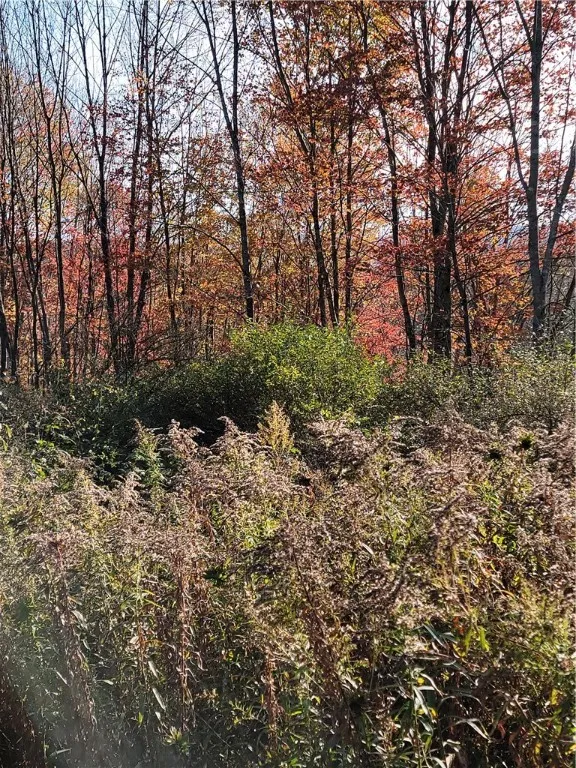 236 Spurr Street, Columbus, New York 13411, Columbus, New York 13411, ,Land,For Sale,236 Spurr Street, Columbus, New York 13411,0,R1572994