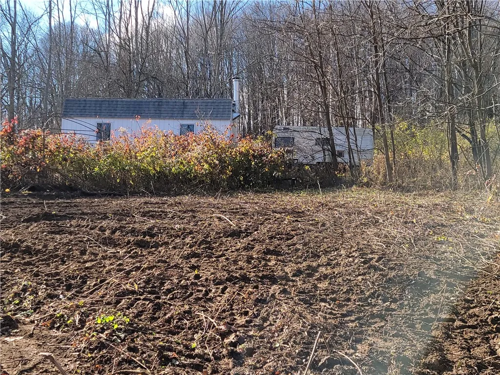 236 Spurr Street, Columbus, New York 13411, Columbus, New York 13411, ,Land,For Sale,236 Spurr Street, Columbus, New York 13411,0,R1572994