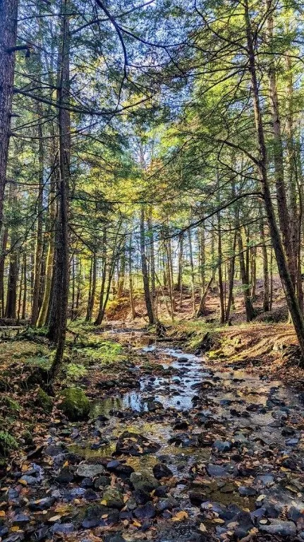 236 Spurr Street, Columbus, New York 13411, Columbus, New York 13411, ,Land,For Sale,236 Spurr Street, Columbus, New York 13411,0,R1572994