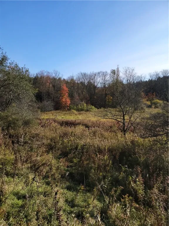 236 Spurr Street, Columbus, New York 13411, Columbus, New York 13411, ,Land,For Sale,236 Spurr Street, Columbus, New York 13411,R1572994