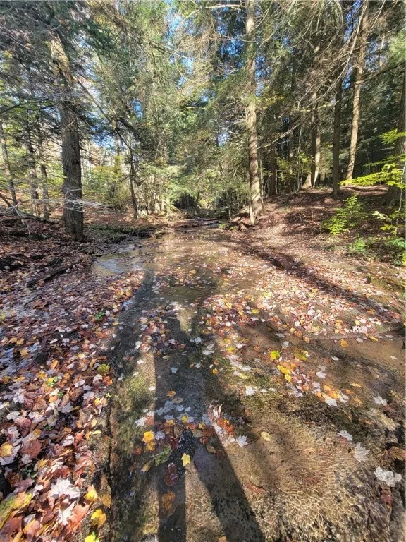 236 Spurr Street, Columbus, New York 13411, Columbus, New York 13411, ,Land,For Sale,236 Spurr Street, Columbus, New York 13411,R1572994