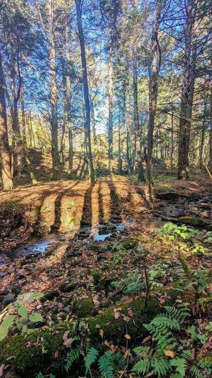 236 Spurr Street, Columbus, New York 13411, Columbus, New York 13411, ,Land,For Sale,236 Spurr Street, Columbus, New York 13411,0,R1572994