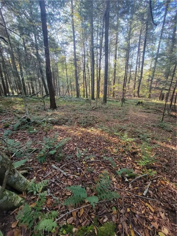 236 Spurr Street, Columbus, New York 13411, Columbus, New York 13411, ,Land,For Sale,236 Spurr Street, Columbus, New York 13411,0,R1572994