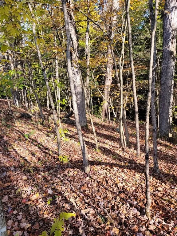 236 Spurr Street, Columbus, New York 13411, Columbus, New York 13411, ,Land,For Sale,236 Spurr Street, Columbus, New York 13411,0,R1572994