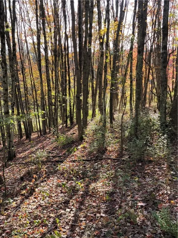 236 Spurr Street, Columbus, New York 13411, Columbus, New York 13411, ,Land,For Sale,236 Spurr Street, Columbus, New York 13411,0,R1572994