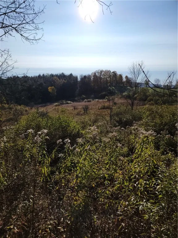 236 Spurr Street, Columbus, New York 13411, Columbus, New York 13411, ,Land,For Sale,236 Spurr Street, Columbus, New York 13411,R1572994