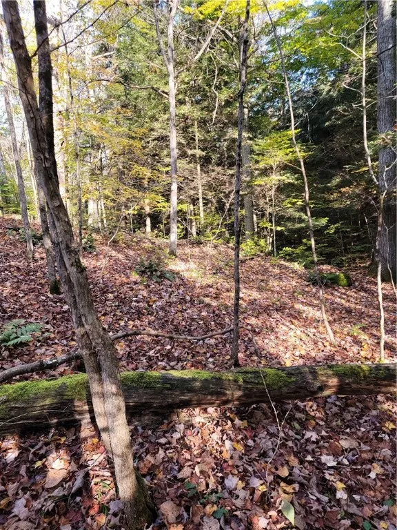236 Spurr Street, Columbus, New York 13411, Columbus, New York 13411, ,Land,For Sale,236 Spurr Street, Columbus, New York 13411,0,R1572994