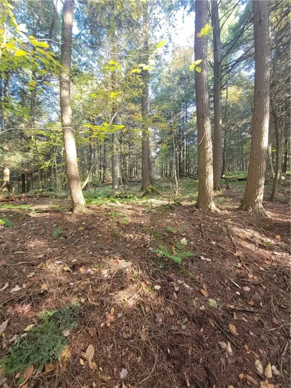236 Spurr Street, Columbus, New York 13411, Columbus, New York 13411, ,Land,For Sale,236 Spurr Street, Columbus, New York 13411,R1572994