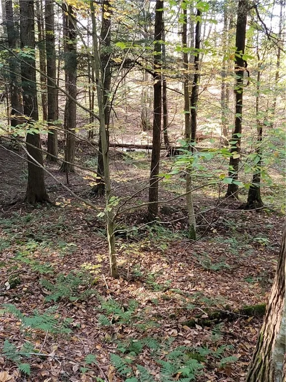 236 Spurr Street, Columbus, New York 13411, Columbus, New York 13411, ,Land,For Sale,236 Spurr Street, Columbus, New York 13411,0,R1572994