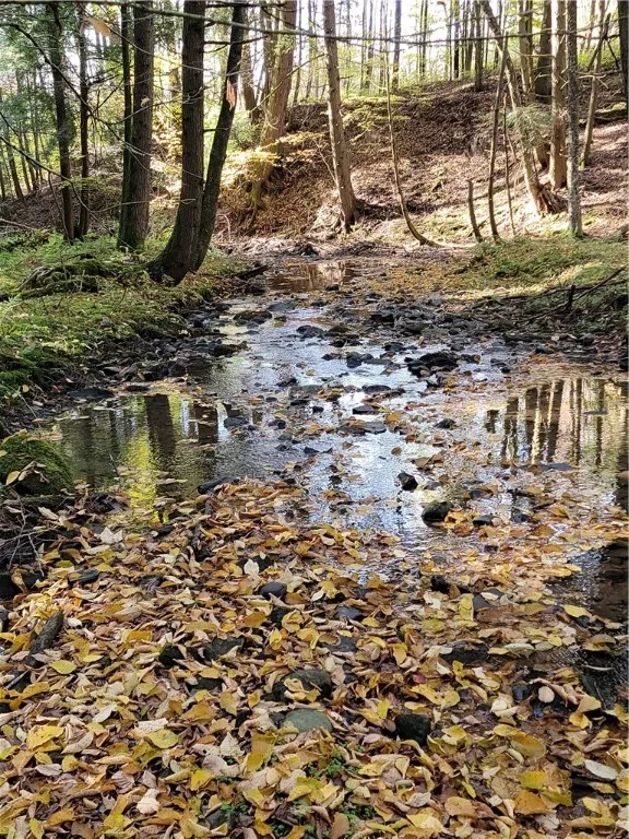 236 Spurr Street, Columbus, New York 13411, Columbus, New York 13411, ,Land,For Sale,236 Spurr Street, Columbus, New York 13411,0,R1572994