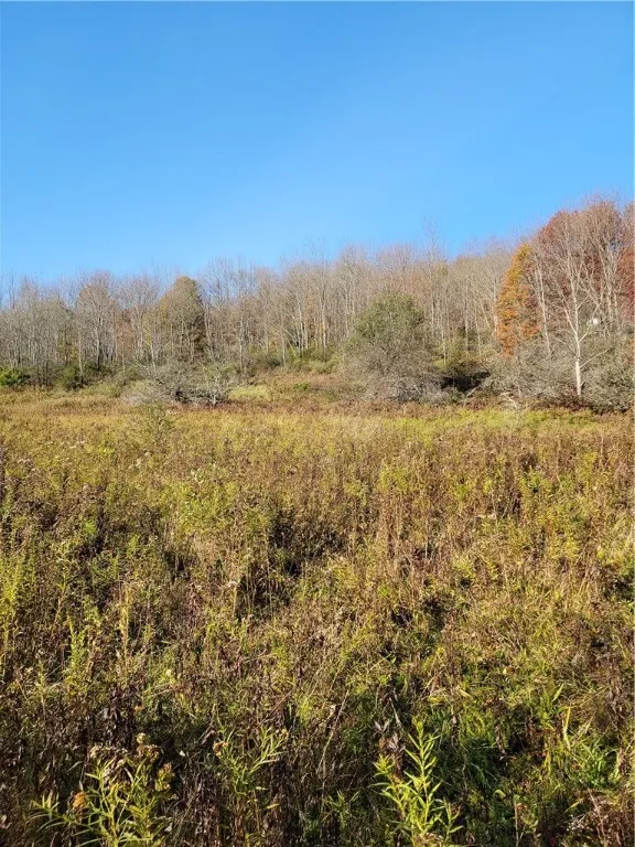 236 Spurr Street, Columbus, New York 13411, Columbus, New York 13411, ,Land,For Sale,236 Spurr Street, Columbus, New York 13411,R1572994