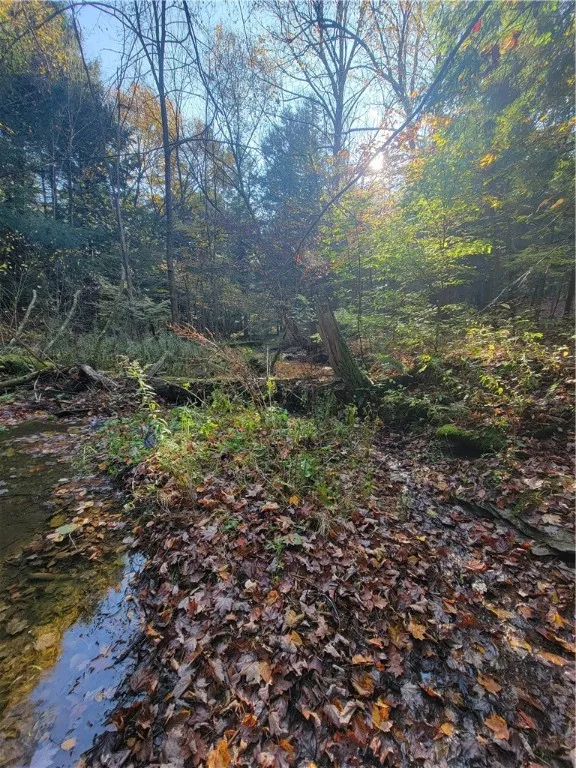 236 Spurr Street, Columbus, New York 13411, Columbus, New York 13411, ,Land,For Sale,236 Spurr Street, Columbus, New York 13411,R1572994