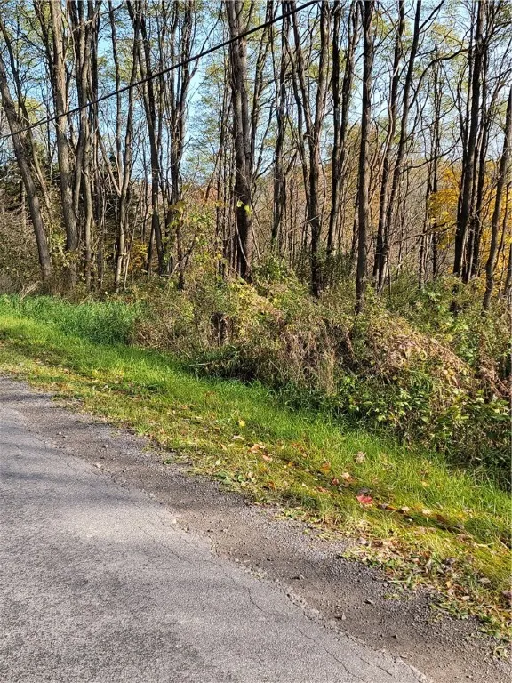 236 Spurr Street, Columbus, New York 13411, Columbus, New York 13411, ,Land,For Sale,236 Spurr Street, Columbus, New York 13411,0,R1572994