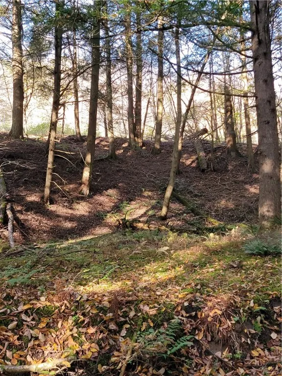 236 Spurr Street, Columbus, New York 13411, Columbus, New York 13411, ,Land,For Sale,236 Spurr Street, Columbus, New York 13411,R1572994