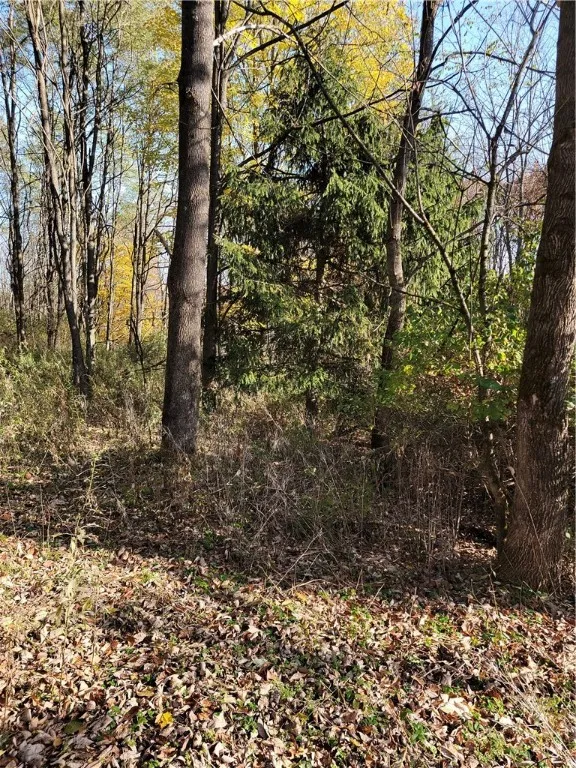 236 Spurr Street, Columbus, New York 13411, Columbus, New York 13411, ,Land,For Sale,236 Spurr Street, Columbus, New York 13411,R1572994