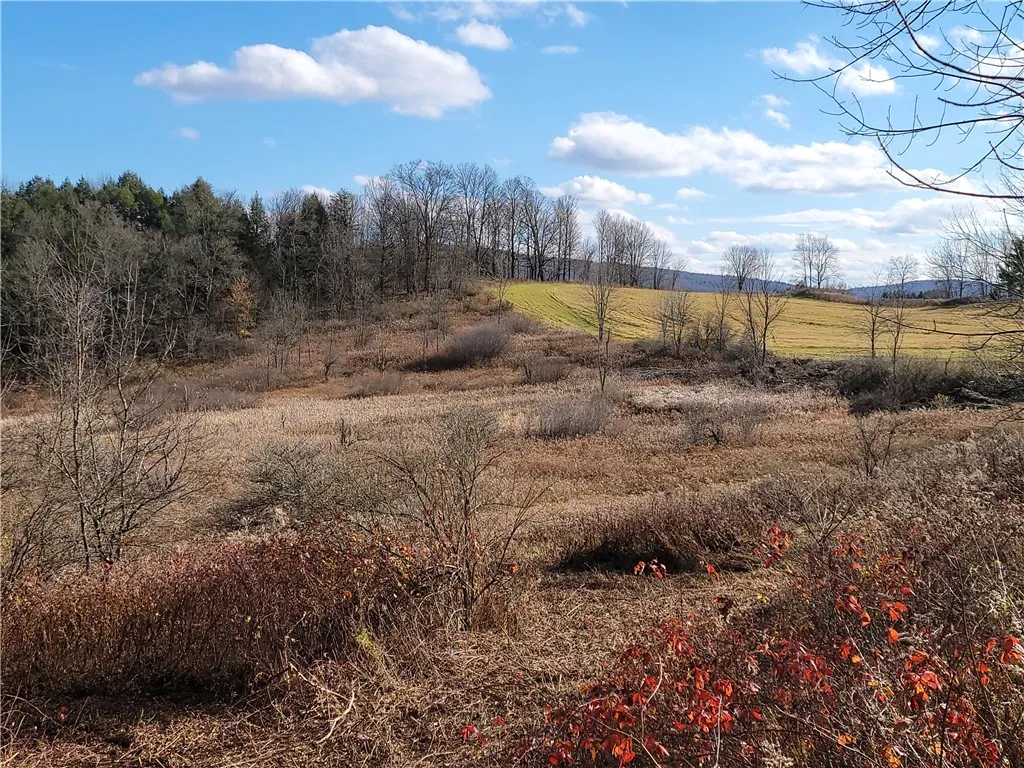 236 Spurr Street, Columbus, New York 13411, Columbus, New York 13411, ,Land,For Sale,236 Spurr Street, Columbus, New York 13411,0,R1572994