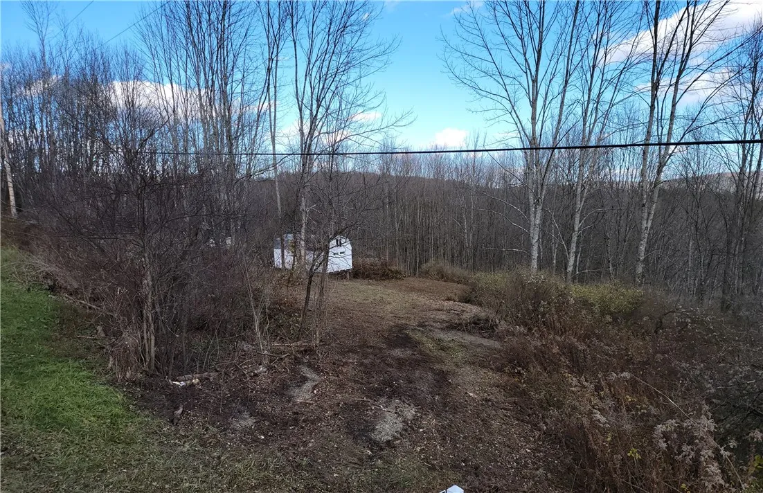 236 Spurr Street, Columbus, New York 13411, Columbus, New York 13411, ,Land,For Sale,236 Spurr Street, Columbus, New York 13411,0,R1572994