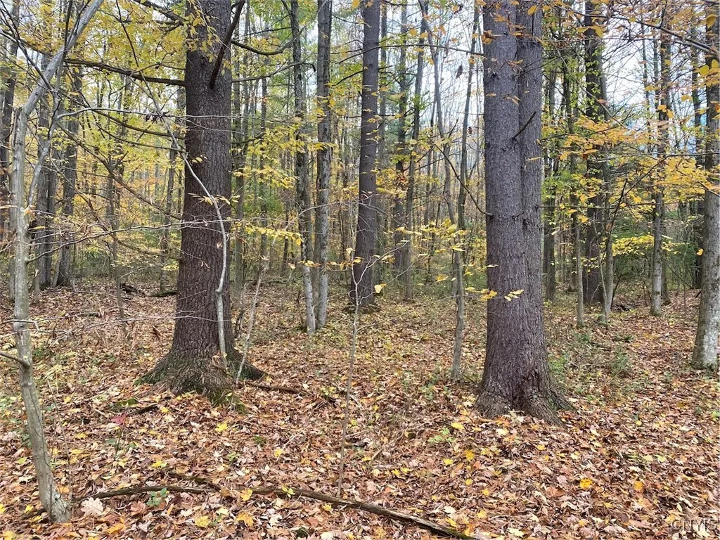 6197 Windfall Road, Angelica, New York 14813, Angelica, New York 14813, ,Residential,Closed,6197 Windfall Road, Angelica, New York 14813,0,S1573017